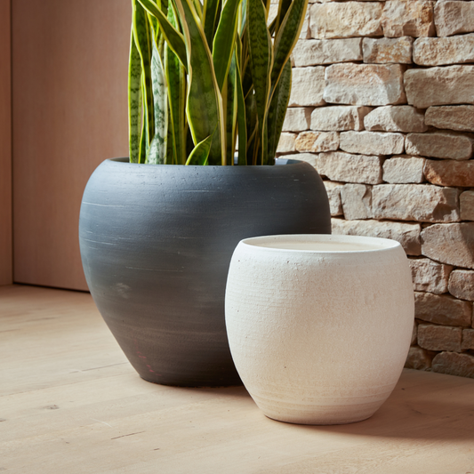 Amora | Indoor Plant Pot