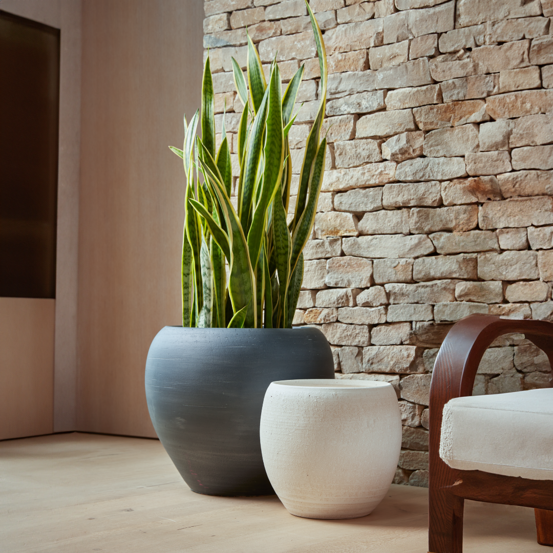 Amora | Indoor Plant Pot