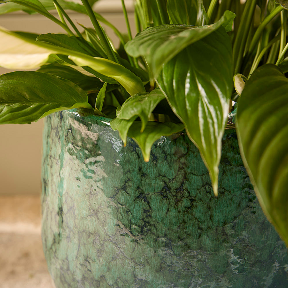Neve Ceramic | Indoor Plant Pot