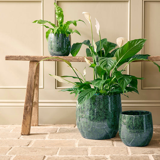 Neve Ceramic | Indoor Plant Pot