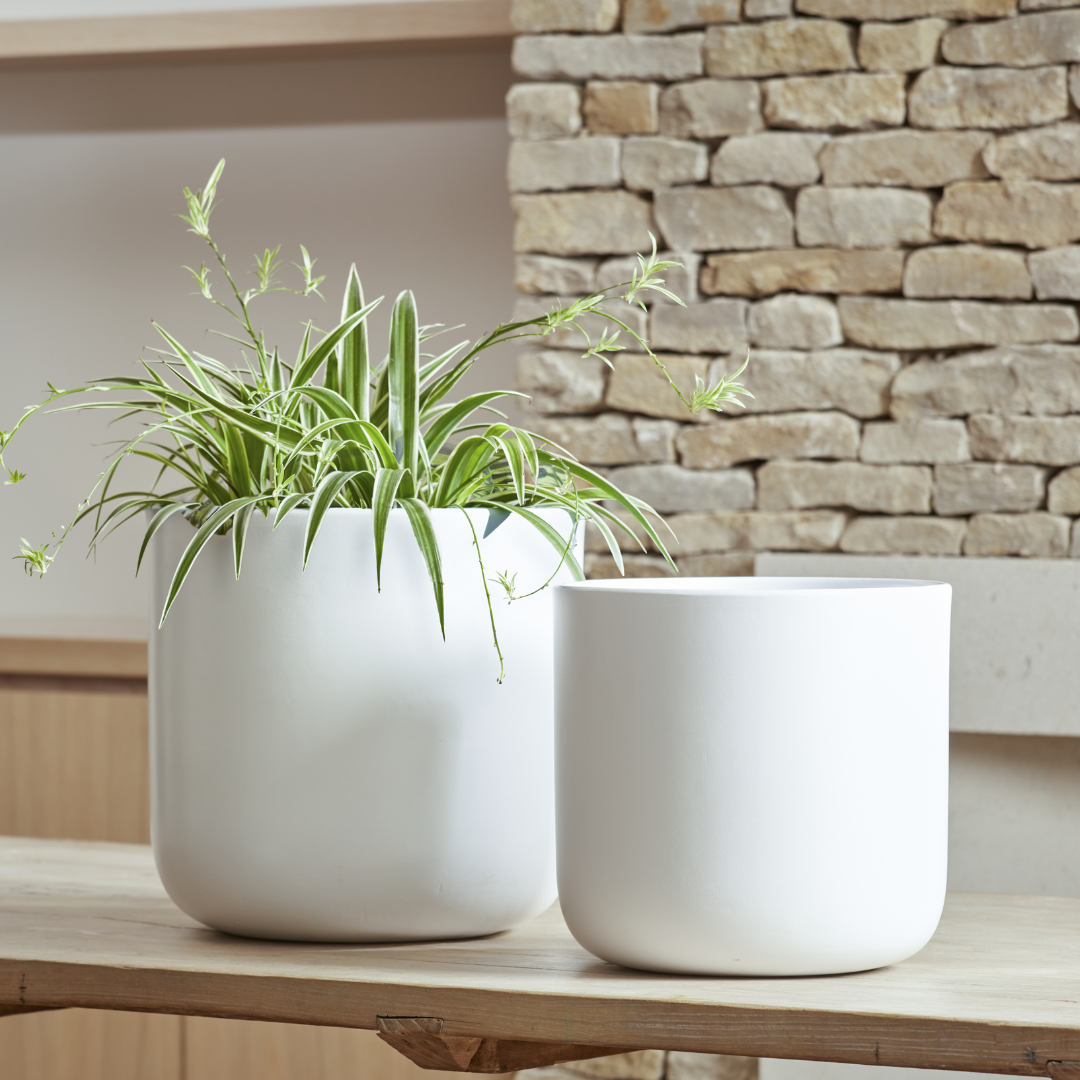 Nova | Indoor Plant Pot