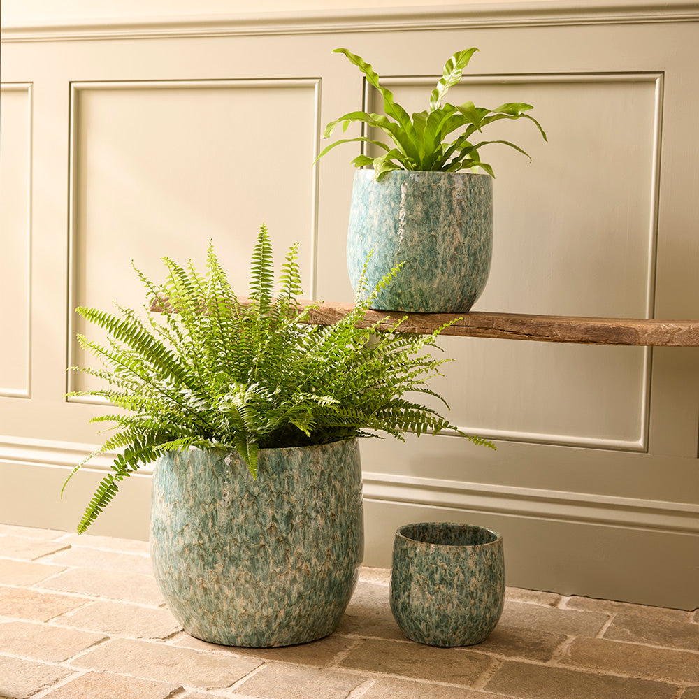 Torino Ceramic | Indoor Plant Pot